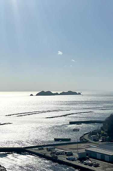 スライダー画像