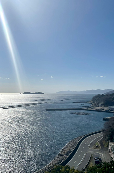 スライダー画像